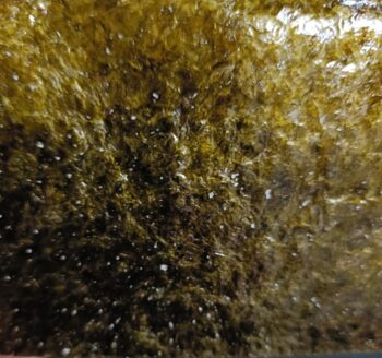 ヤマハ株主優待おすすめのおかず海苔・塩海苔セットの実際の海苔